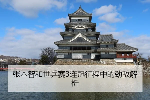 张本智和世乒赛3连冠征程中的劲敌解析